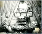 Prima expoziție horticolă organizată în România (© ANR, SANIC, colecția Documente Fotografice, album 9)