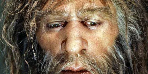 neanderthal