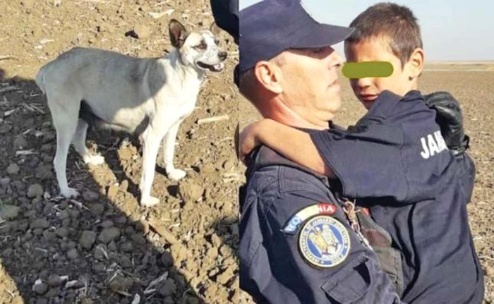 Copilul şi căţelul au fost preluaţi de jandarmi