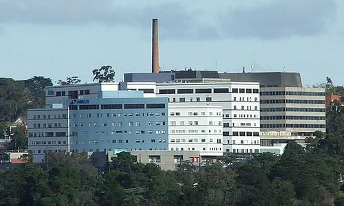 austin and mercy hospital jpeg