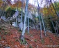 Drumul spre peștera din Valea Rea Foto Daniel Guță (32) jpg