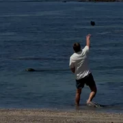 bărbat lovete foca monarh pe cale de disparitie Hawaii SUA Foto: captură video jpg