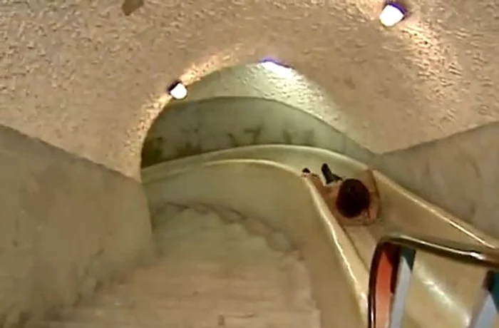 Reporta țipă în ultimul hal