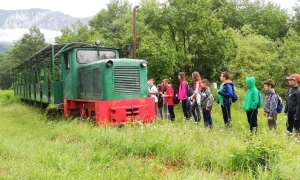 65103924 637432703403502 7288809240775360512 n jpg webp