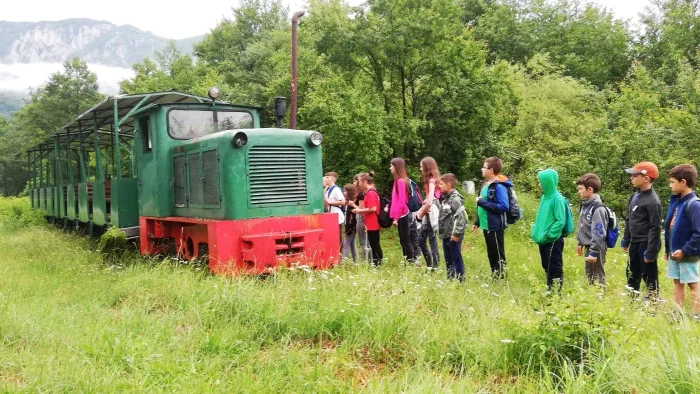 Mocănița Apusenilor