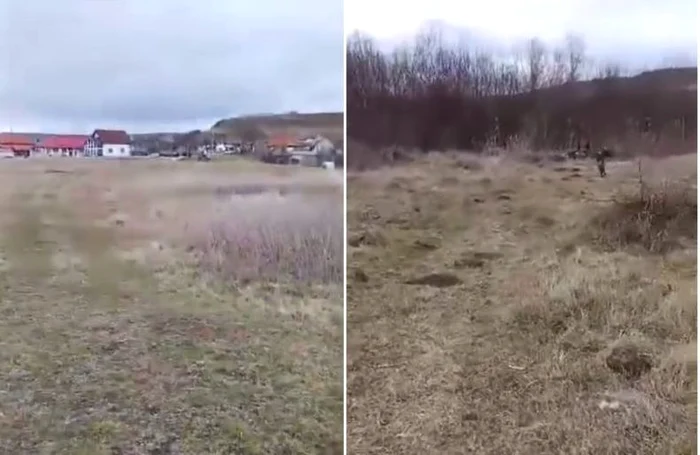 Zona în care a fost descoperit câinele FOTO captură video Facebook