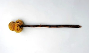 hartie igienica antica jpg