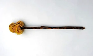 hartie igienica antica jpg