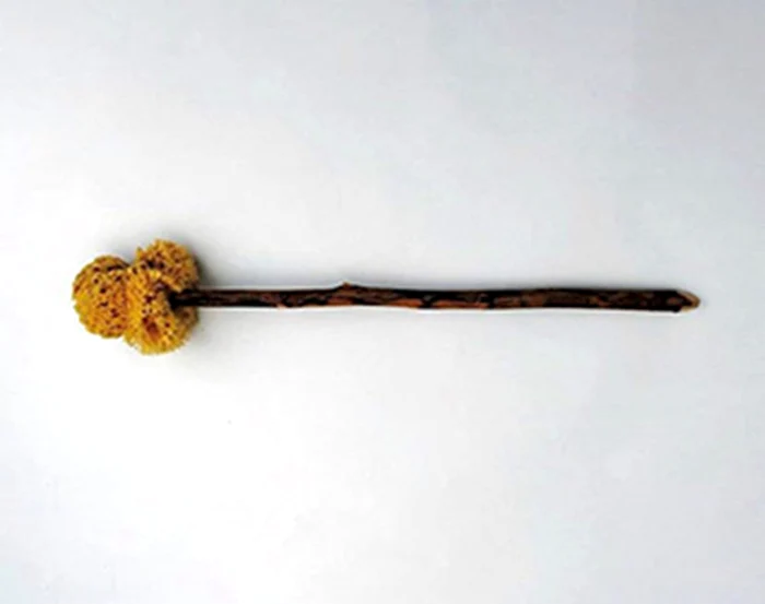 Bețișor folosit în antichitate pentru igiena persoanlă.