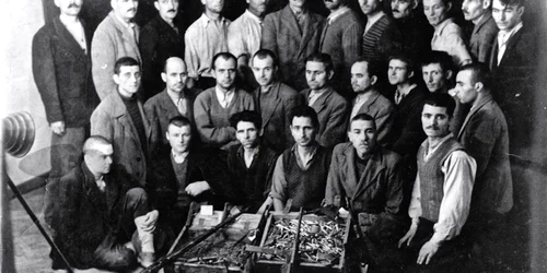 Piţigoi FOTO Mircea Rusnac