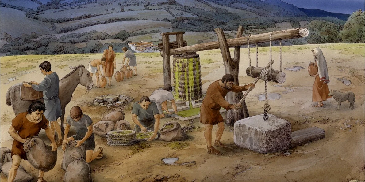 Producție rurală de ulei de măsline în secolul I î.Hr. la Case Nuove, Toscana, Italia (© Studio Inklink, Roman Peasant Project)