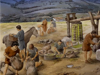 Producție rurală de ulei de măsline în secolul I î.Hr. la Case Nuove, Toscana, Italia (© Studio Inklink, Roman Peasant Project)
