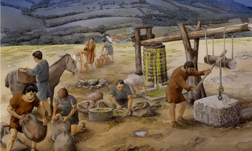 Producție rurală de ulei de măsline în secolul I î.Hr. la Case Nuove, Toscana, Italia (© Studio Inklink, Roman Peasant Project)
