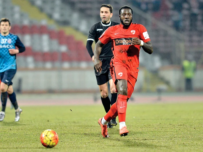 
    Gnohere revine  în atacul formaţiei  dinamoviste   