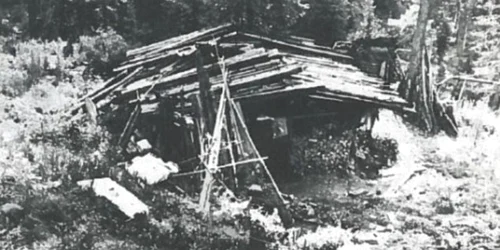 familie izolata 40 de ani