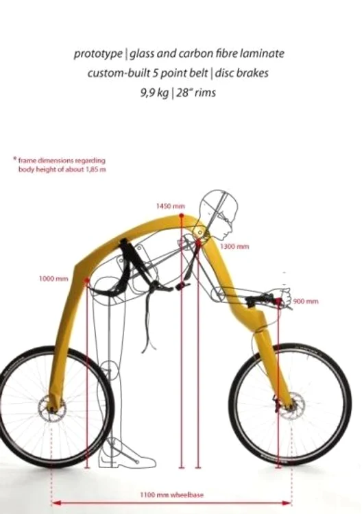 BIcicleta fără pedale (FOTO WENN)