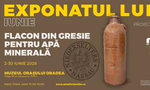 Un flacon din gresie pentru apă minerală, exponatul lunii la Muzeul Țării Crișurilor