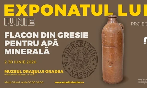 Un flacon din gresie pentru apă minerală, exponatul lunii la Muzeul Țării Crișurilor
