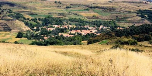 satul cicau judetul alba