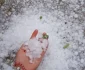 În Focșani vijelia însoțită de grindină FOTO: Facebook