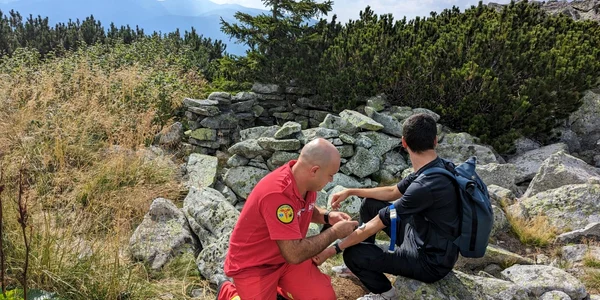 vipere foto Inspectoratul General de Aviație