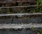 valea vinului 5