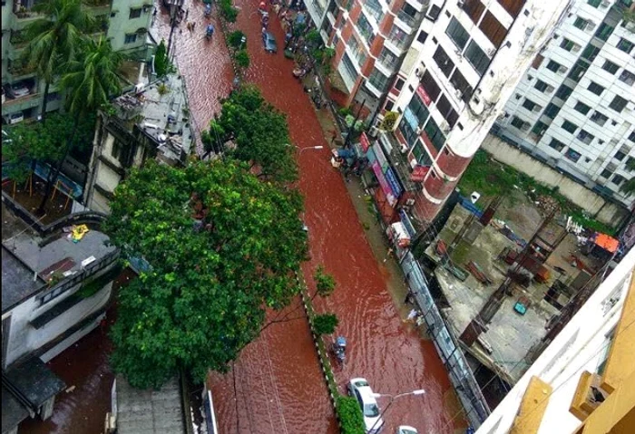 Râuri de sânge curg pe străzile capitalei din BangladeshFoto Twitter/Edward Rees