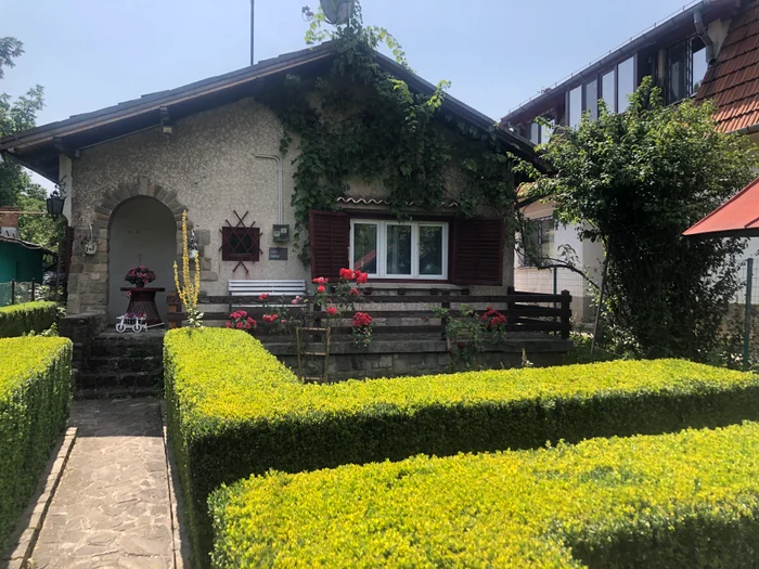 Și-a decorat casa cu multe flori și fel de fel de obiecte de suflet