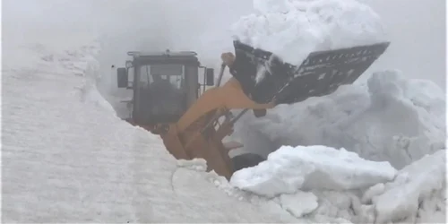 transalpina deszapezire