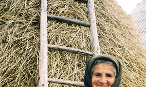 Chipuri şi măşti ale bătrîneţii jpeg