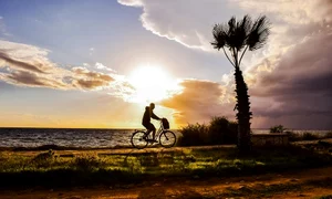 bfc57ed6fea9926cf378aae05245c452 jpeg