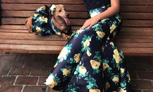 1 74521 original jpg jpeg