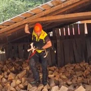 salvare caini brosteni suceava   foto fb caini salvamon romania   avalansa si mediu natural jpg