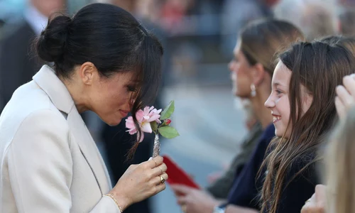 1 gettyimages 1048794430 jpg jpeg