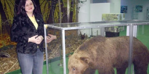 Expoziţie de animale împăiate la muzeu