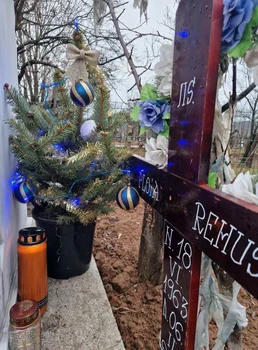 De Sărbători, Daniela Ploia i-a dus tatălui la cimitir un brăduț împodobit foto: Facebook 