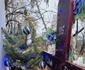 De Sărbători, Daniela Ploia i-a dus tatălui la cimitir un brăduț împodobit foto: Facebook 