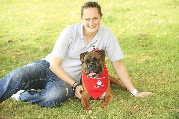 
    Banca de sânge pentru  căţei are 200 de donatoriFoto: Photoland/Caters  