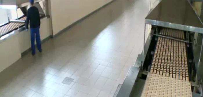 Fabrica de biscuiţi se va deschide în cadrul Parcului Industrial din Craiova