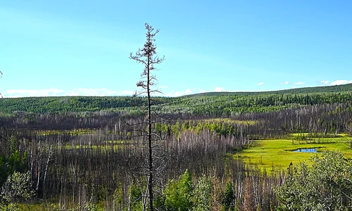 Situl arheologic Shég' Xdaltth'i'