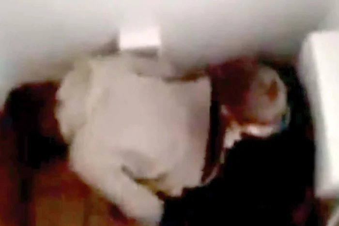 Cei trei nu pot fi  exmatriculaţi