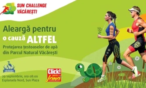 1 82433 original jpg jpeg