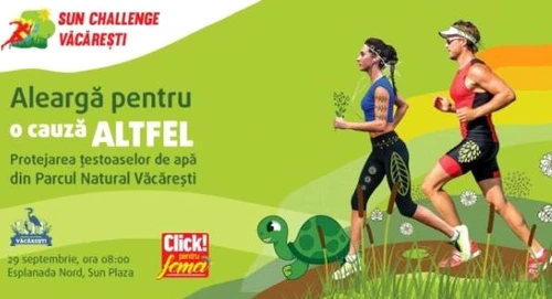 1 82433 original jpg jpeg