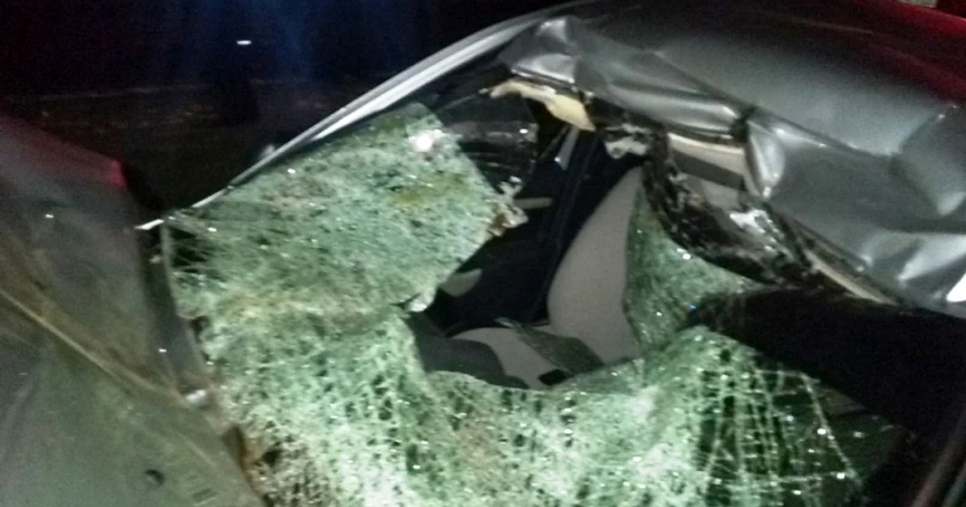 accident catar