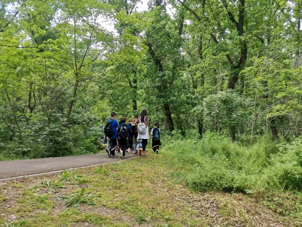 Parc de aventură în Pădurea Gârboavele, sursa: CJ