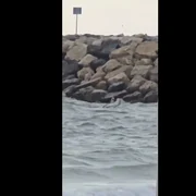 drona filmata in apa la costinesti FOTO: captura video Facebook Echidistant