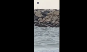 drona filmata in apa la costinesti FOTO: captura video Facebook Echidistant