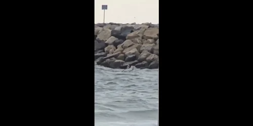 drona filmata in apa la costinesti FOTO: captura video Facebook Echidistant