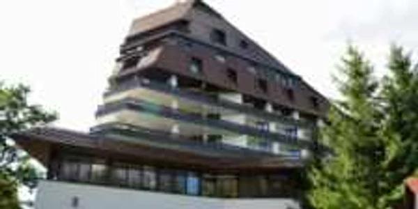 hotel alpin