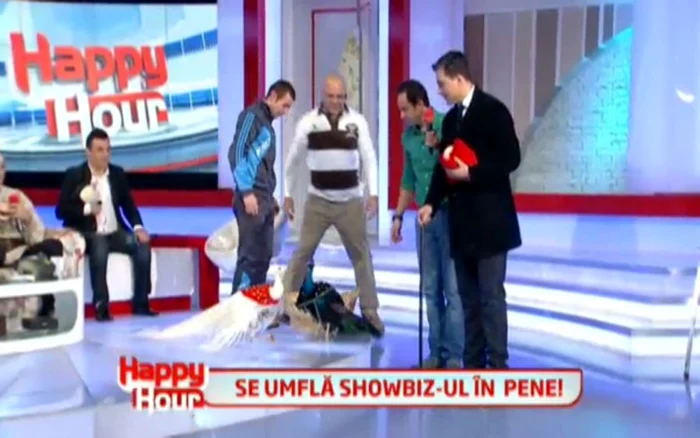 ciucu cu paunii jpeg